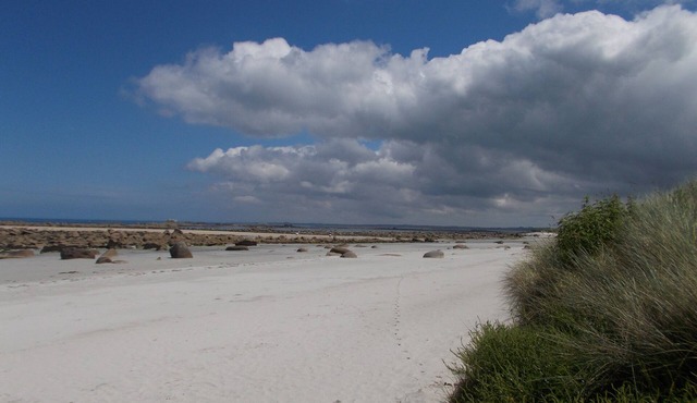 THE HOUSE OF THE BEACH