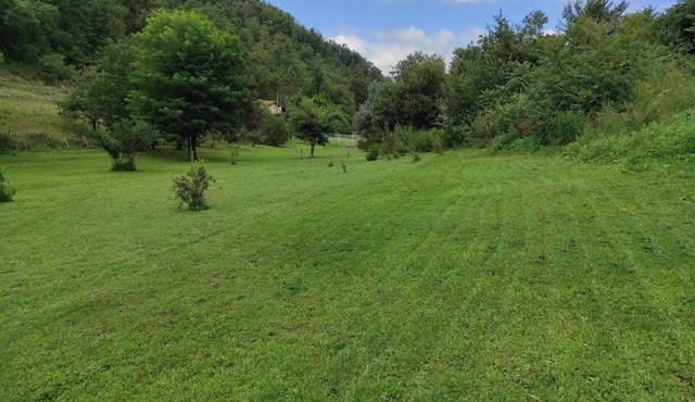 The champos building