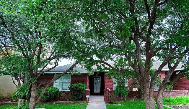 The French Quarter 3Br2BhnIn the Heart of Midland, equipped for extended stays!