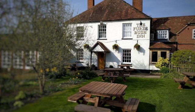 The Furze Bush Inn