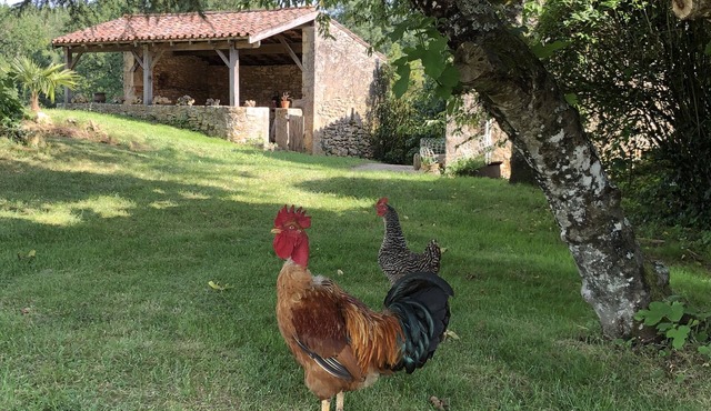 The Gîte de Lescarcelle near Château de Bonaguil