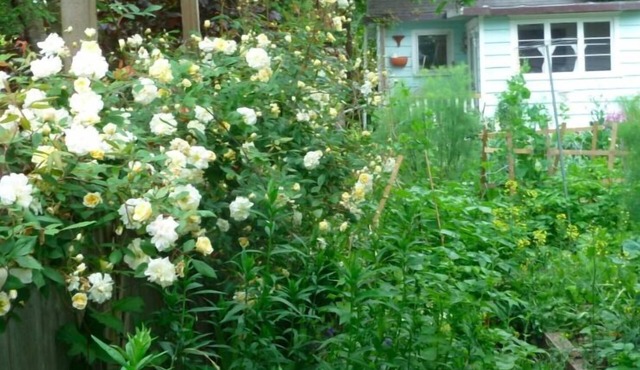 The Garden Cottage.Step Back in Time - Experience Nature - with Creative Spirit