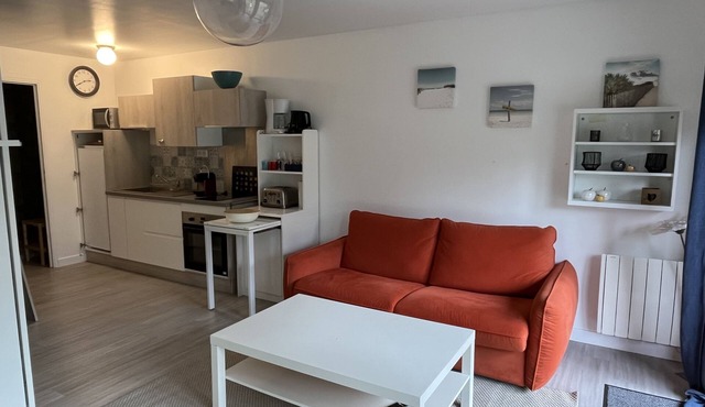 The Garrigue in the middle of the Pines