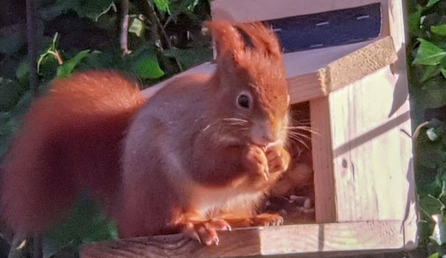 The Gatehouse apartment - Penysarn