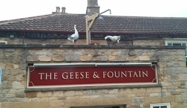 The Geese and Fountain