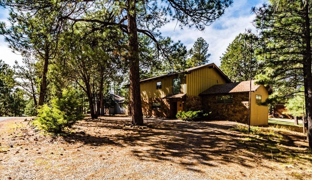 The Gelk Pet Friendly | Live Large in the Pines—Hot Tub, Bar & Cozy Gathering Space