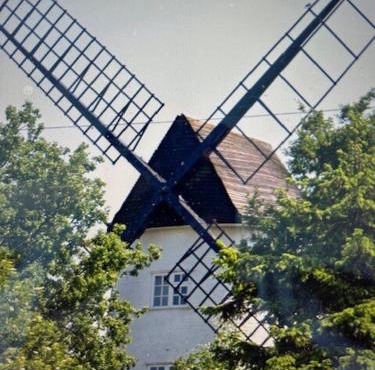 The Gibbet Windmill pet friendly home & paddock