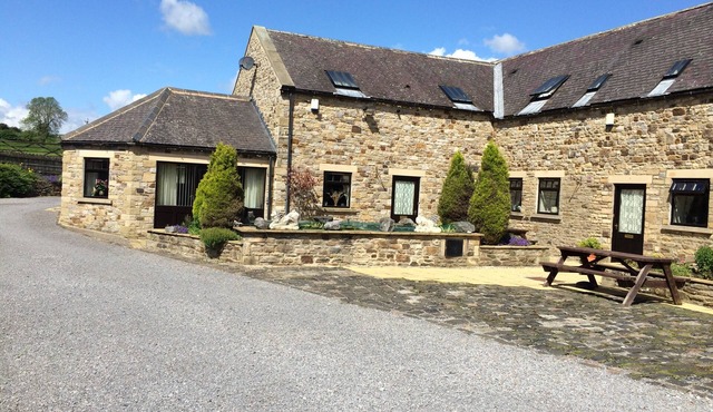 The Gin Gang. Large barn conversion ideal for families. Sleeps 10.
