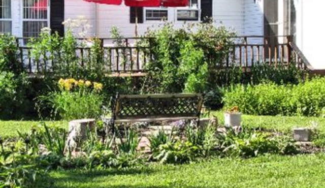 The Ginger Cat Bed & Breakfast