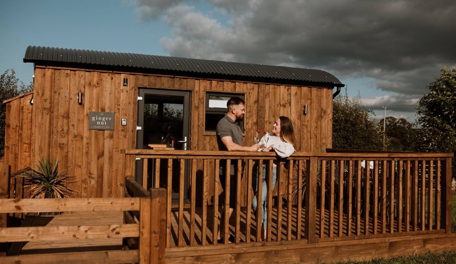 The Ginger Nut - a shepherds hut with hot tub sleeping 2 guests