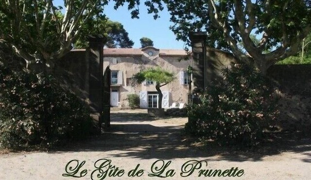 The Gite de la Prunette (air conditioning, heated swimming pool) in a horse farm