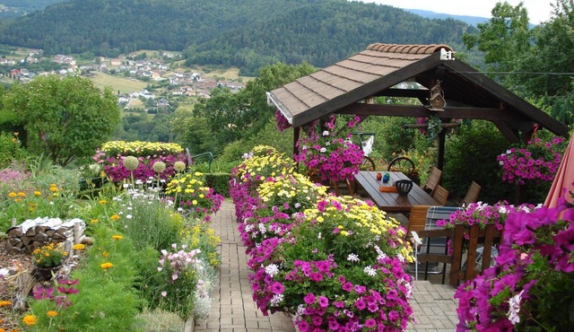 The gîte Fleuri with a magnificent view