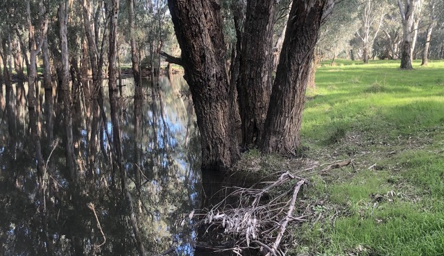 The Glenn on Ovens River
