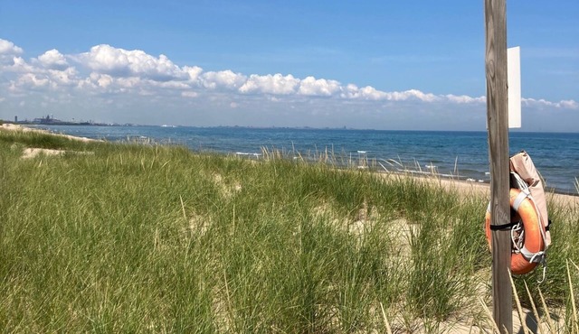 The Goldfinch Cottage Mid-Century 3-bd retreat in lakeside Miller Beach WiFi, AC