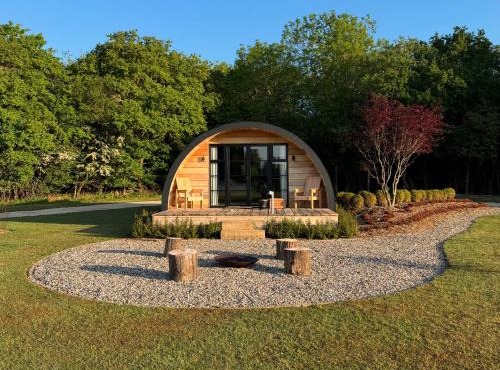 The Goose In The Woods