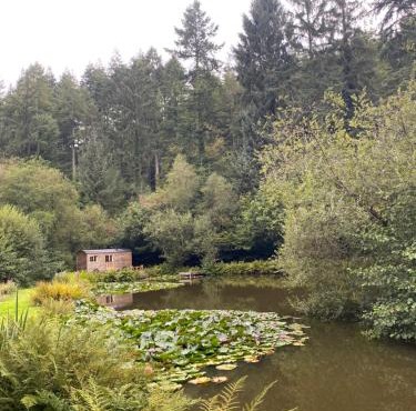 The Goose Nest luxury lakeside shepherd hut in Cardinham Woods, Cornwall