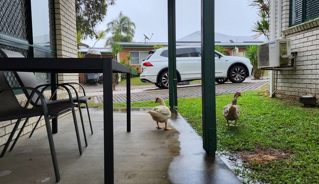 The Goose Pond - 2br, 1.5bth, Aircon throughout.