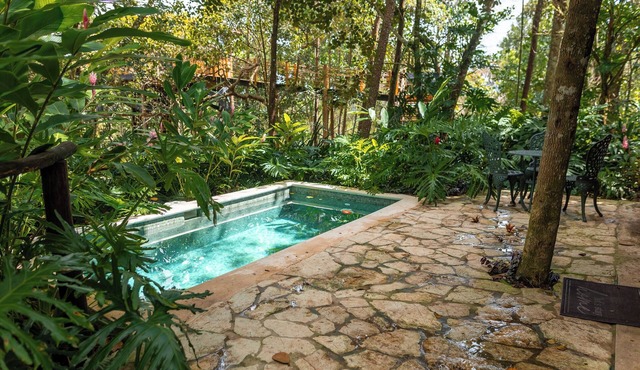 The Grand Forest Jarabacoa