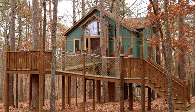 The Grand Treehouse Resort
