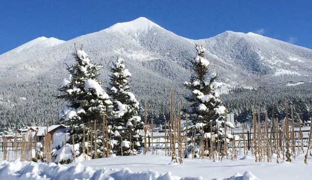 The Great Escape - come ski, hike, explore the lava tubes- your adventures await