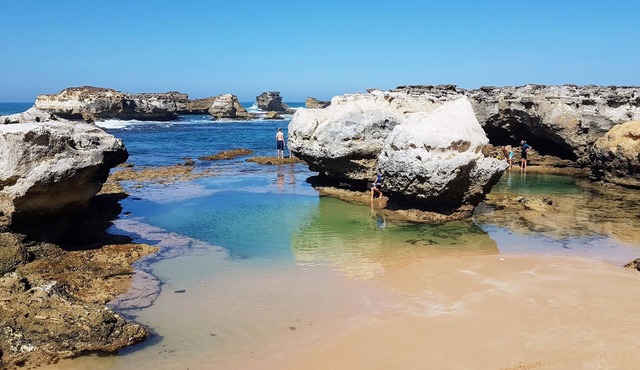 The Great Ocean Rd Shack with river water views from every window.