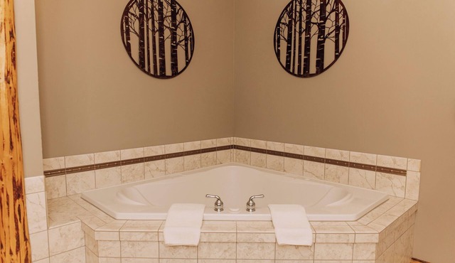 The Great Outdoors Suite: Luxury Lodge Suite in Amish Country, Ohio.