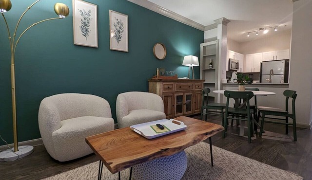 The Green Room 2.0 - 1BD/1BA near NASA JSC