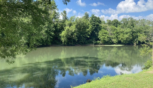 The Greenbrier River View!