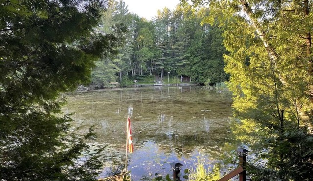 The Greenhouse Cottage - 2 BRS + Bunkie (Pet Friendly)!!