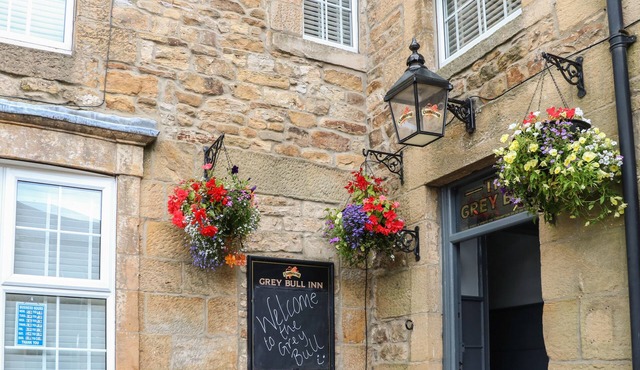 The Grey Bull Apartment