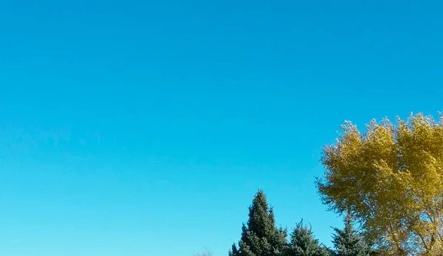 The Grizzly-GREAT VIEWS!