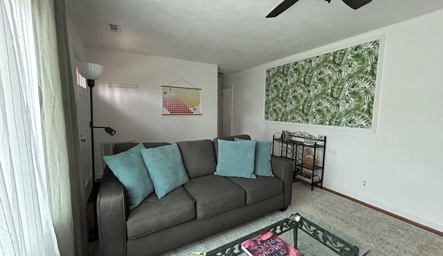 The Grove: Comfy living in Cville Brand New!