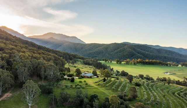 The Grove Estate - The pièce de resistance of this property is the view, be it the 360-degree views of the surrounding bush side, valley and the Region’s famous Mt Buffalo or perhaps the view of the spectacular and famous artwork showcased through th