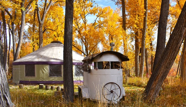 The Grove Yurt is on the North Fork River with outdoor kitchen 2 miles to Paonia