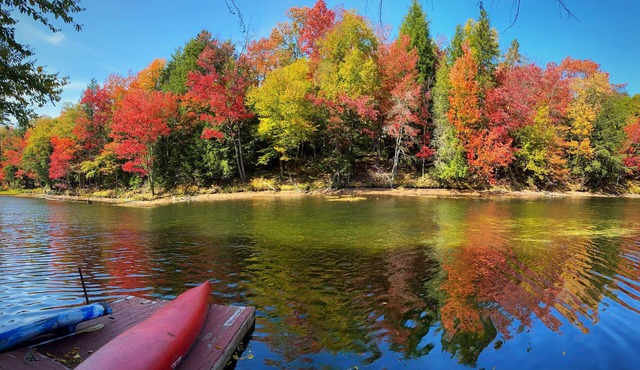 The Guide’s River Cottage Riverfront Retreat + Walk to Town