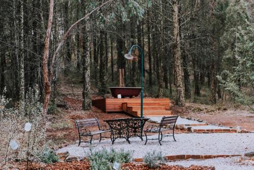 The Gully - Dreamy Cabin on Acres of Outback Charm