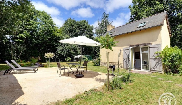 The Gwenved in Brocéliande