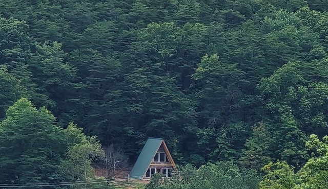 The H/skell near Fall Creek Falls