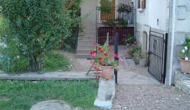 The halt of the tacot