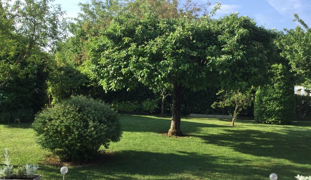 The Hameau du Moulin à vent, Saint Avertin, important tourist attractions