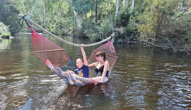 The Hammock