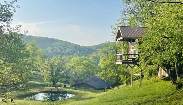 The "Hang-over" Winery Treehouse