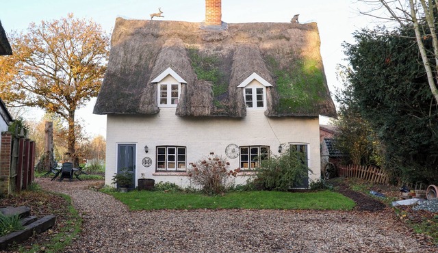 THE HARE & THE BUMBLEBEE COTTAGE, pet friendly in Eye