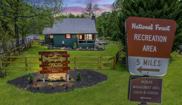 ★The Hatch★ Cabin on Trout River w/Hot Tub, Pet/Kid Friendly