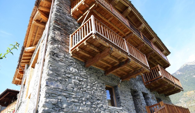 The hawk, Apt 6 pers Villaroger (Les Arcs, the Vanoise National Park)