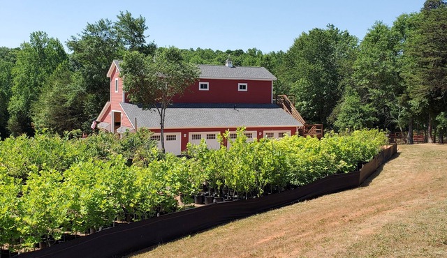 The Hayloft - A Country Chic Barn Loft