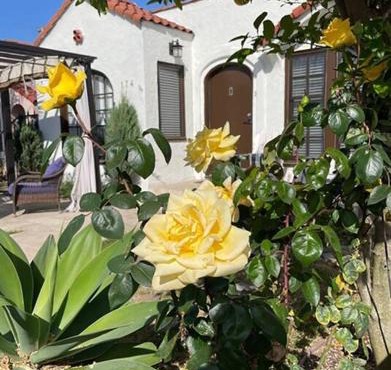 The Heart of Belmont Shore