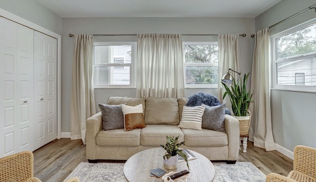 The Heart of Downtown Dunedin on Main St