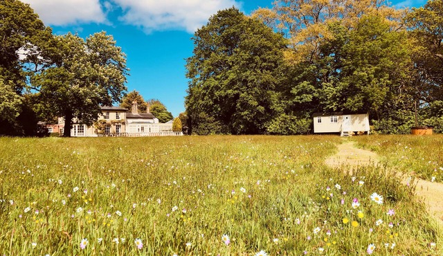 The Hideaway Shepherds Hut & Hot Tub, sleeps 2.