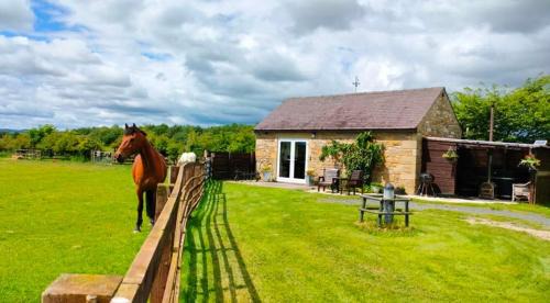 The Hideaway with hot tub
